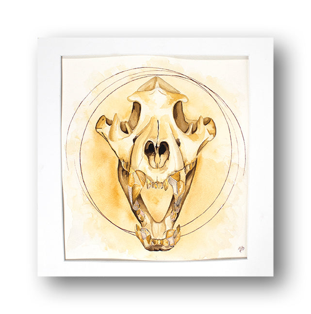 Tiger-Skull-Watercolor-Painting