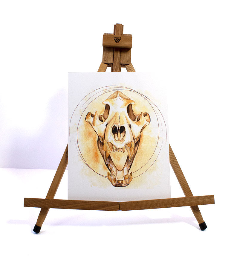 Print-Recreation-Watercolor-Tiger-Skull